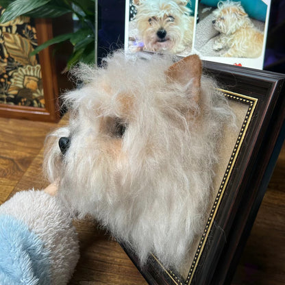 3D Felt Pet Portrait Frame 9&quot;